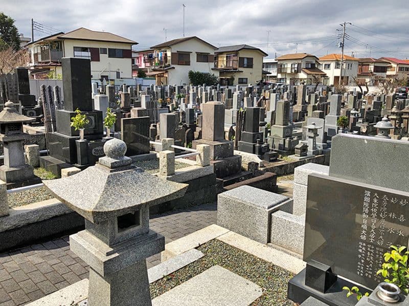 妙蓮寺