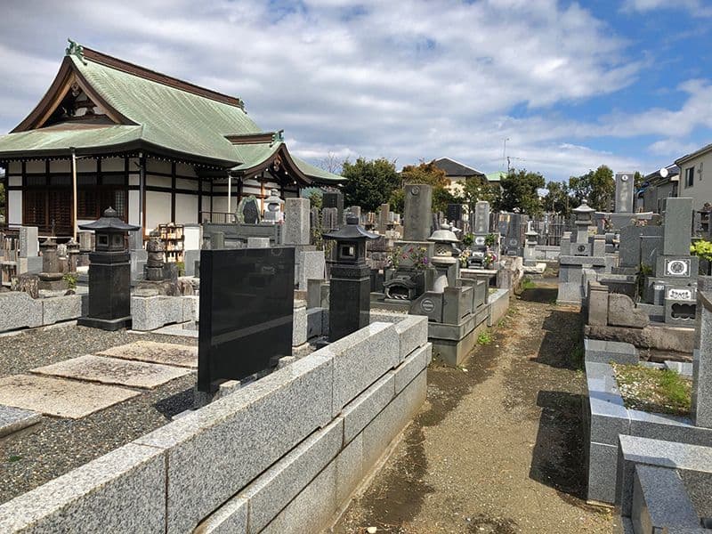 妙蓮寺