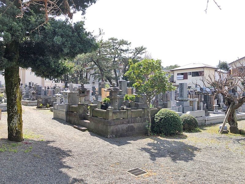 妙蓮寺