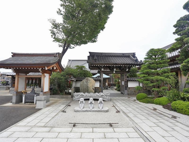 新定院