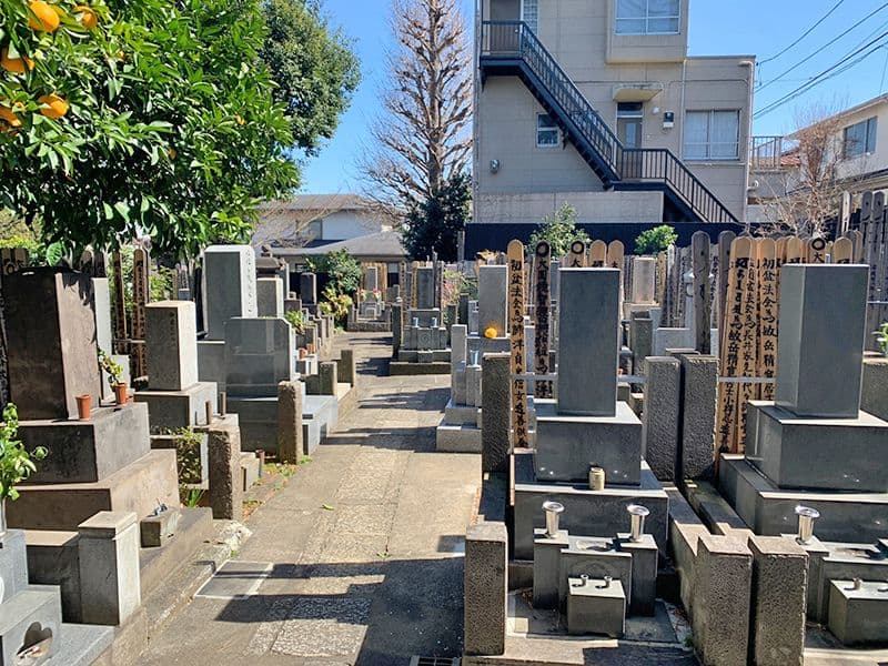 起雲山大龍寺