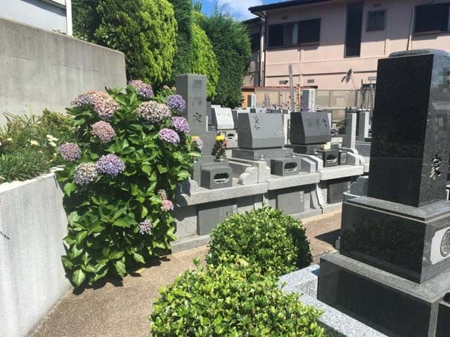 横浜南太田霊苑　アジサイが美しい墓域