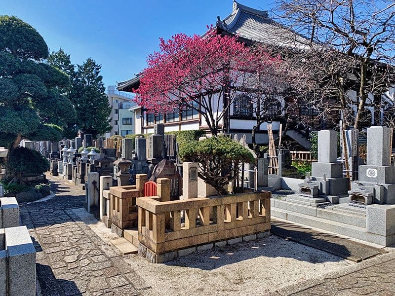 感通寺