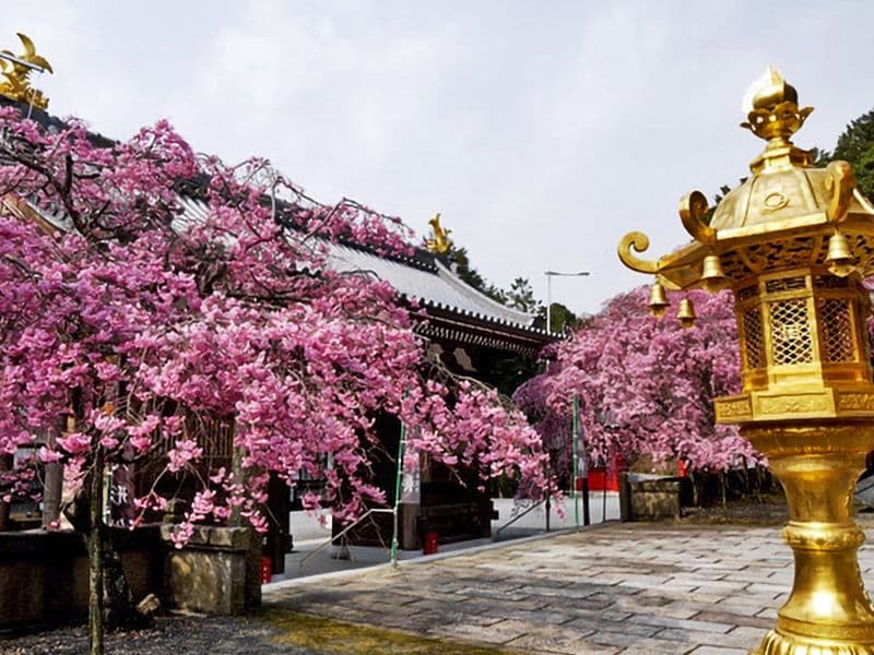 本圀寺