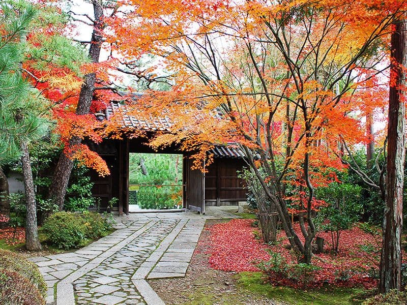 大本山大徳寺塔頭 正受院