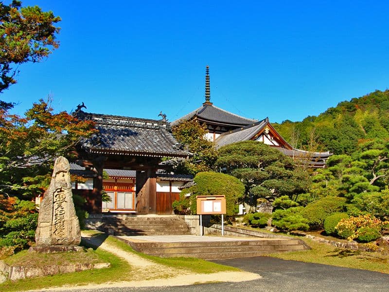 円珠院墓地