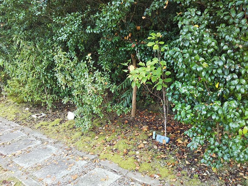 高平寺 樹木葬