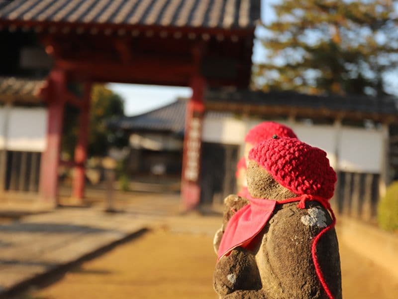 放光院