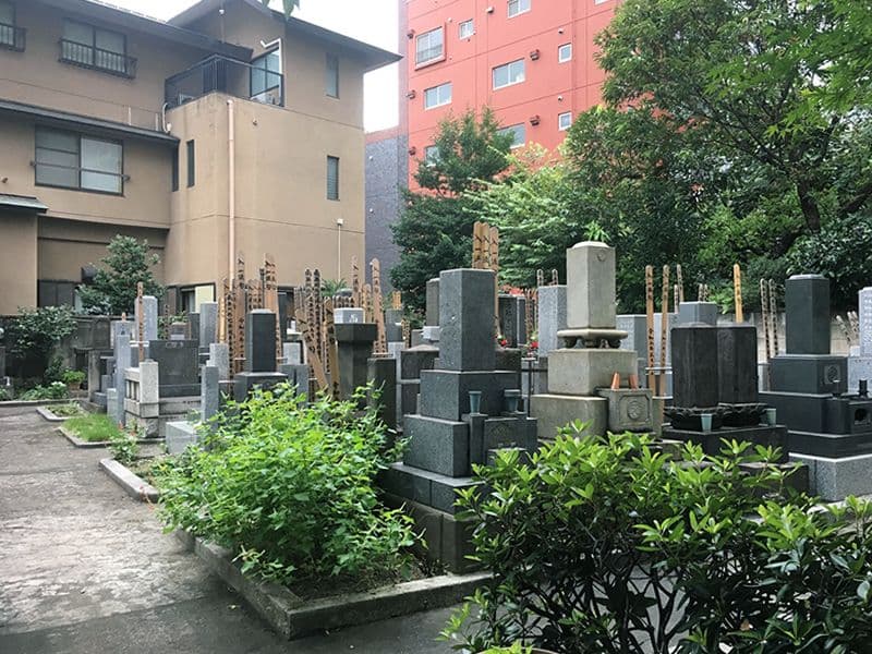 天陽院