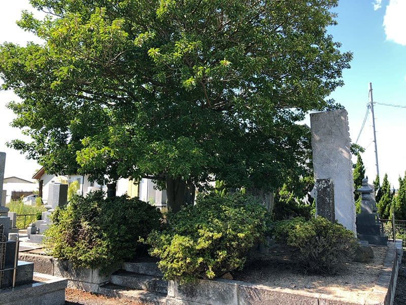 白石太陽霊園