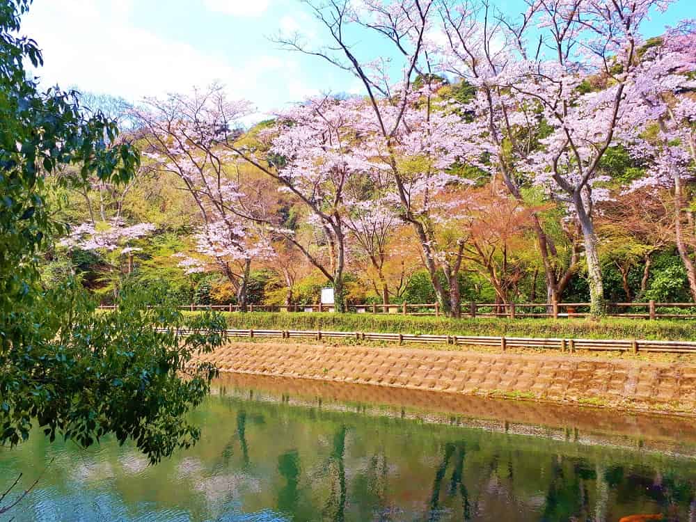 鎌倉湖墓苑
