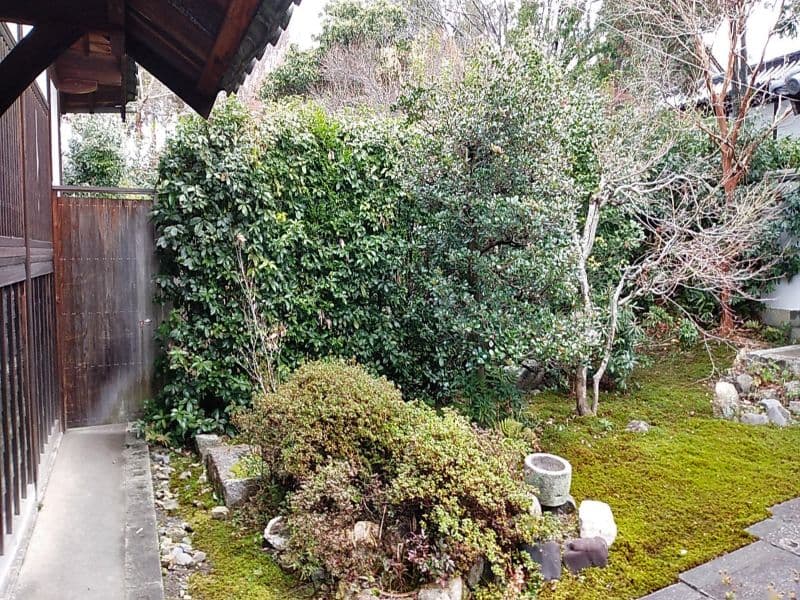 東光寺