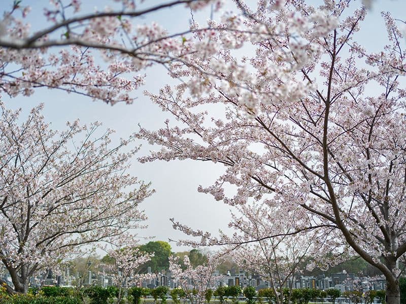 ひびき灘公園墓地
