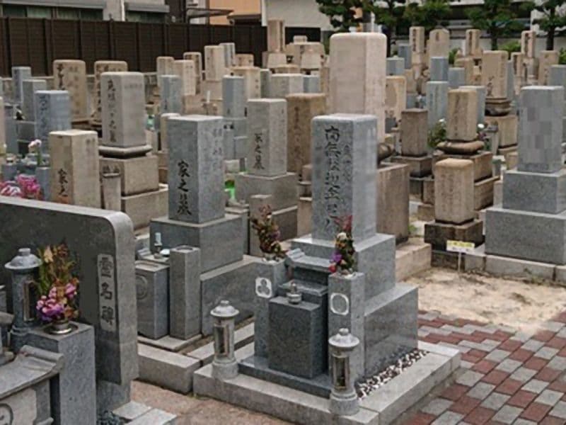 九島院