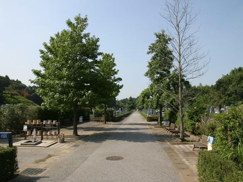 松戸市営白井聖地公園の通路