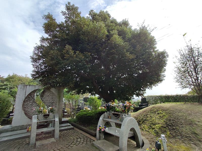 東京多摩境フォーシーズンメモリアル 樹木葬