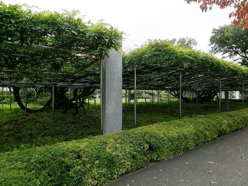 青葉園