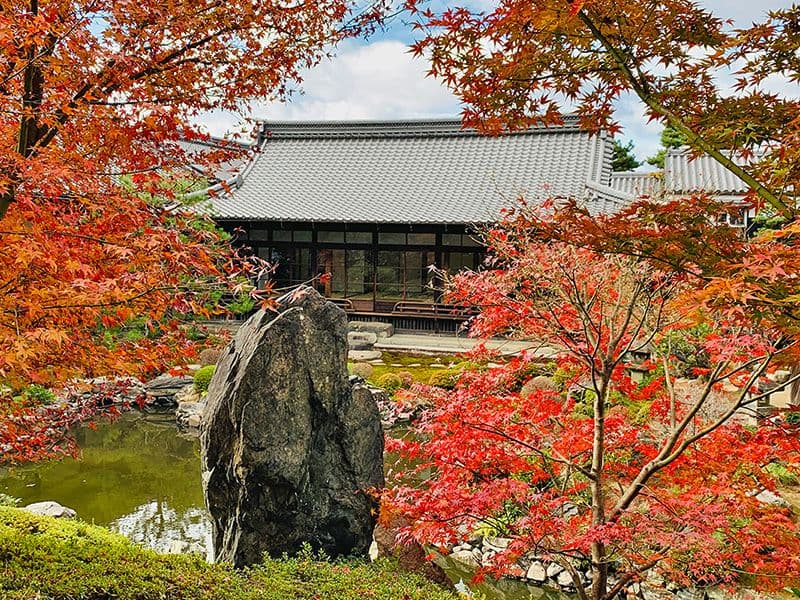 建仁寺 両足院