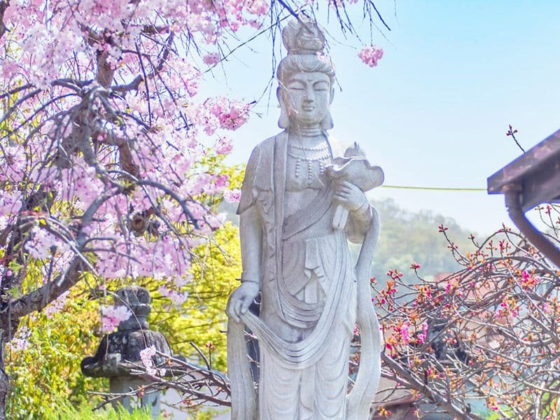 法華寺
