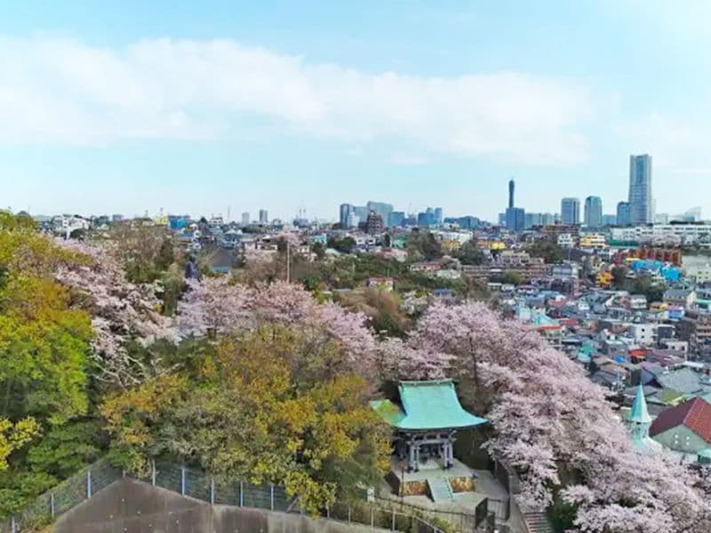横浜令和の杜