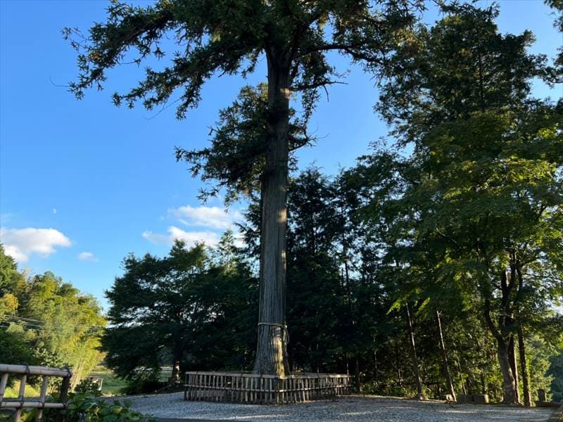 無量寿寺 のうこつぼ