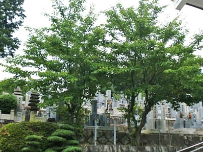光台寺霊園