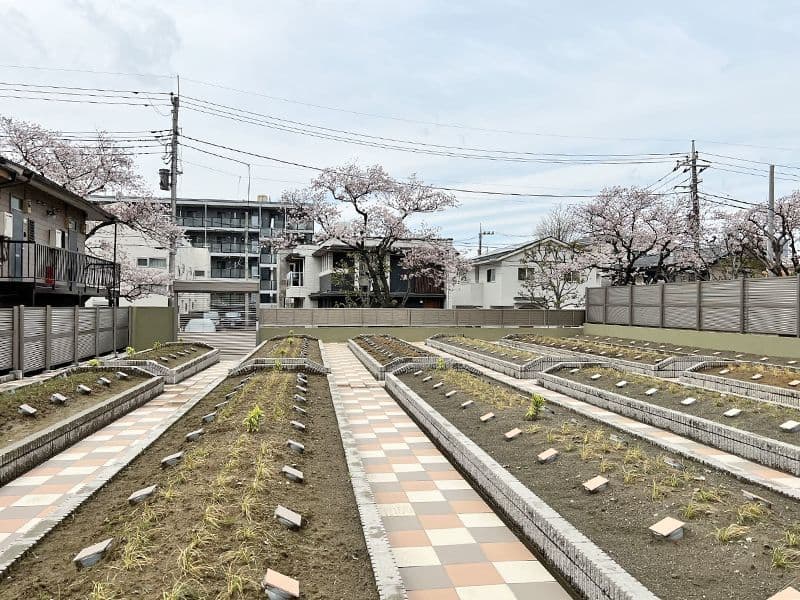 わすれなぐさ