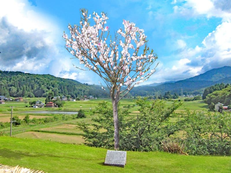 谷城山 宝興寺
