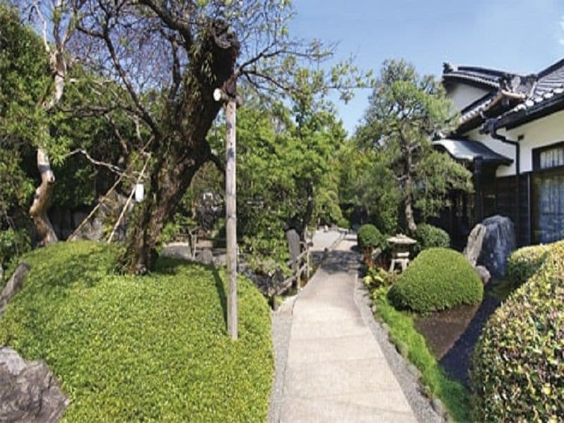 妙秀山 樹源寺　剪定された木