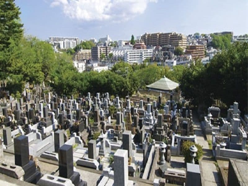妙秀山 樹源寺　園内全景