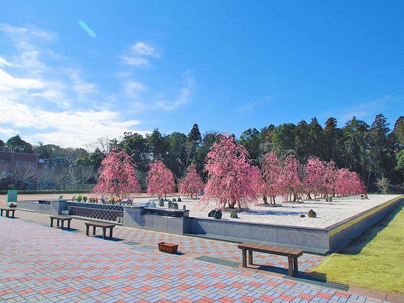 杜の郷霊園