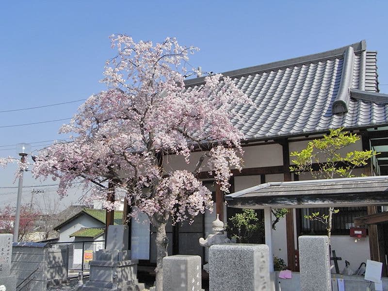 額田之霊園