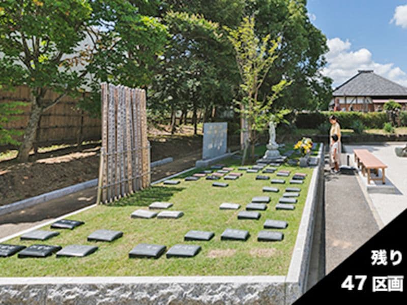 市原市樹木葬霊園
