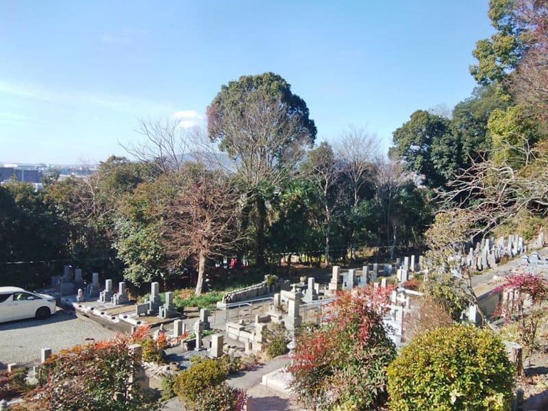 陽春寺