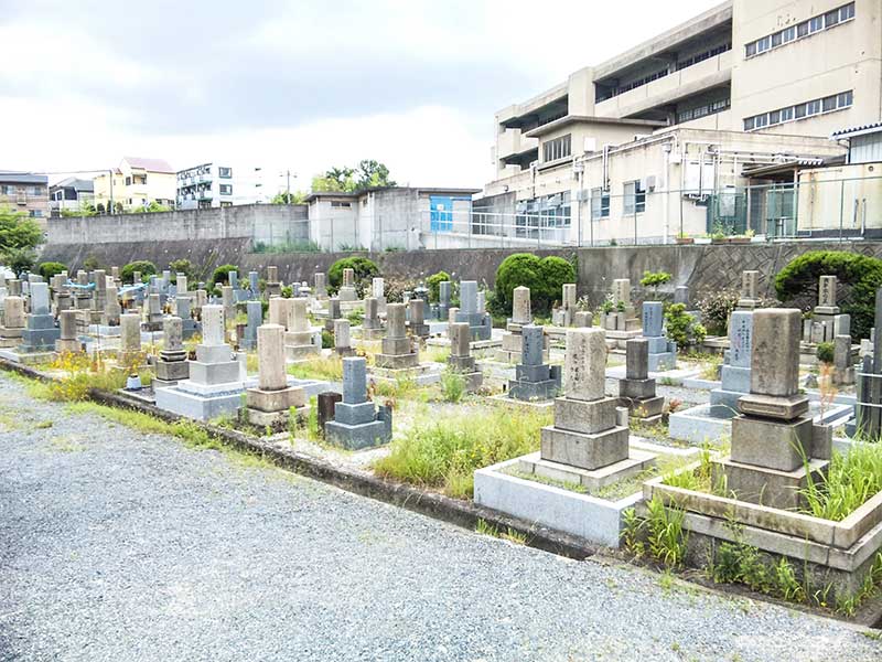 吹田市営 片山墓地　明るい雰囲気の墓域
