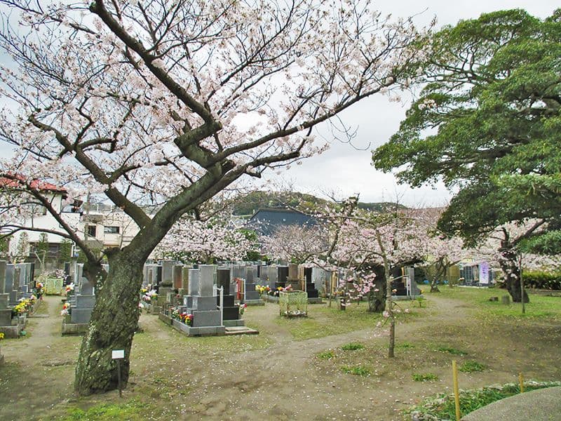長安寺
