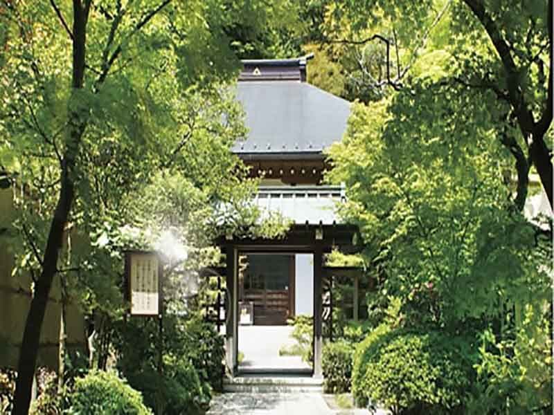 龍峰院　緑が美しい境内の様子