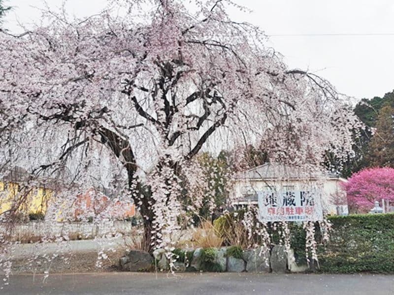 多摩川台墓苑