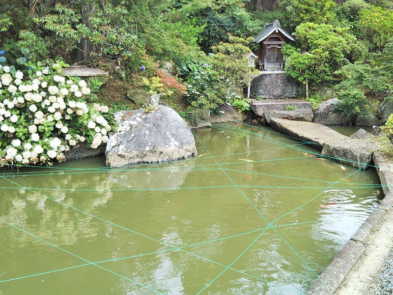 普門寺