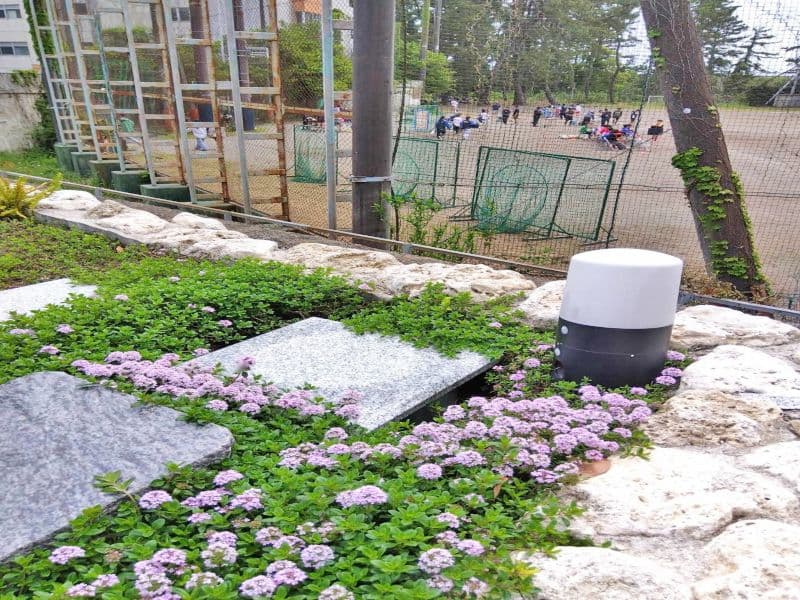 妙善寺「プレミアム小田原シーサイド共葬樹木葬墓地」