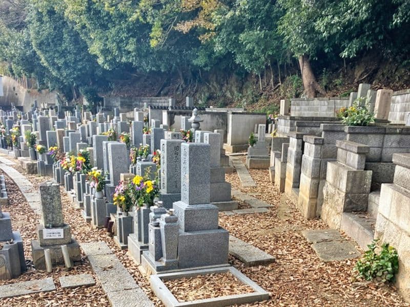 真光寺