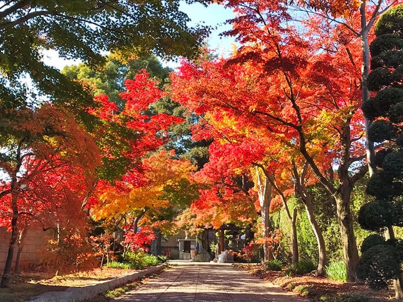 紅葉堂 樹木葬