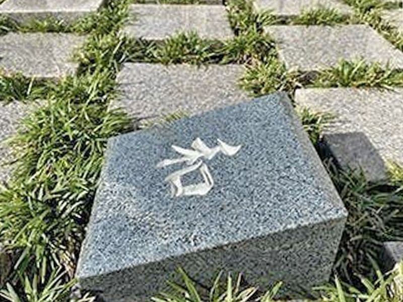 外苑こもれびの杜