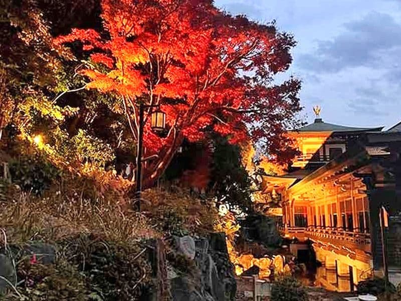 成龍寺【愛久の丘】