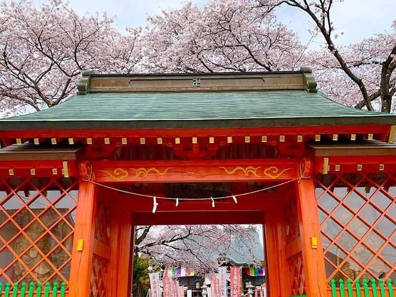 下野厄除大師