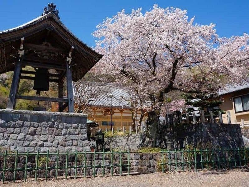 足利あじさいの郷 吉祥寺