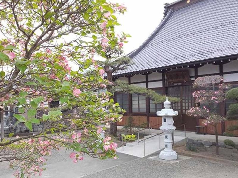 常楽寺